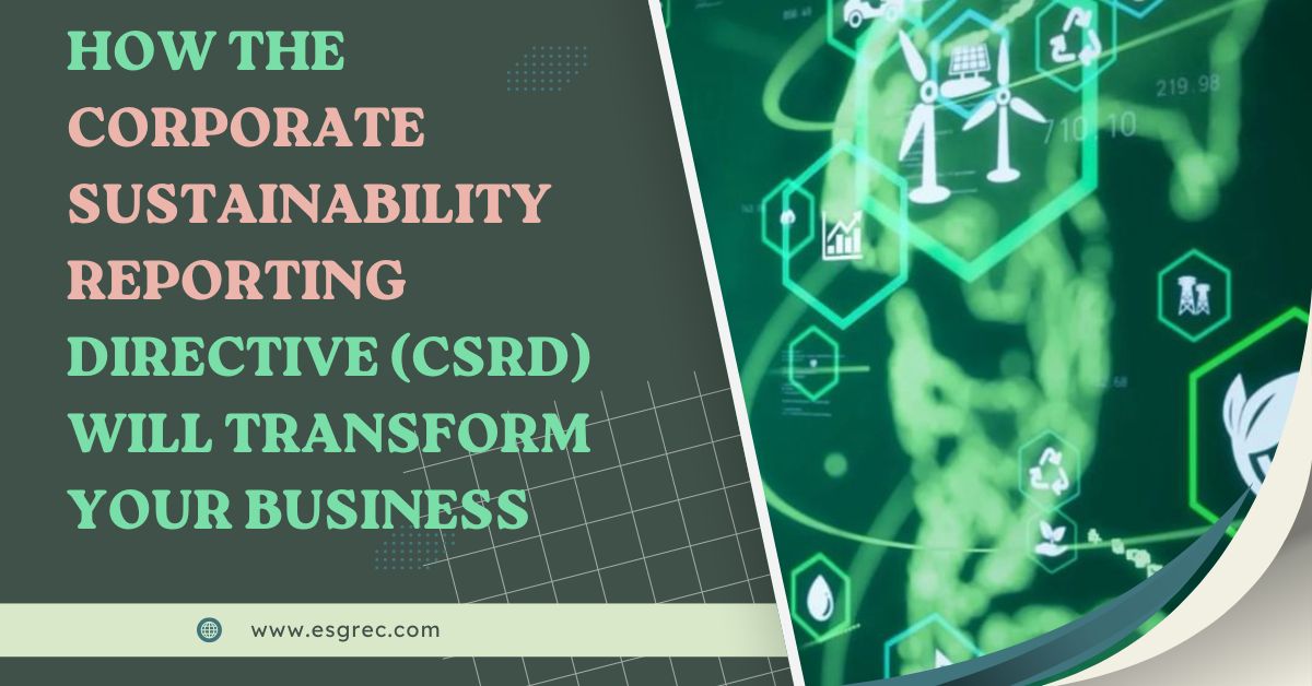 How the Corporate Sustainability Reporting Directive (CSRD) Will Transform Your Business 