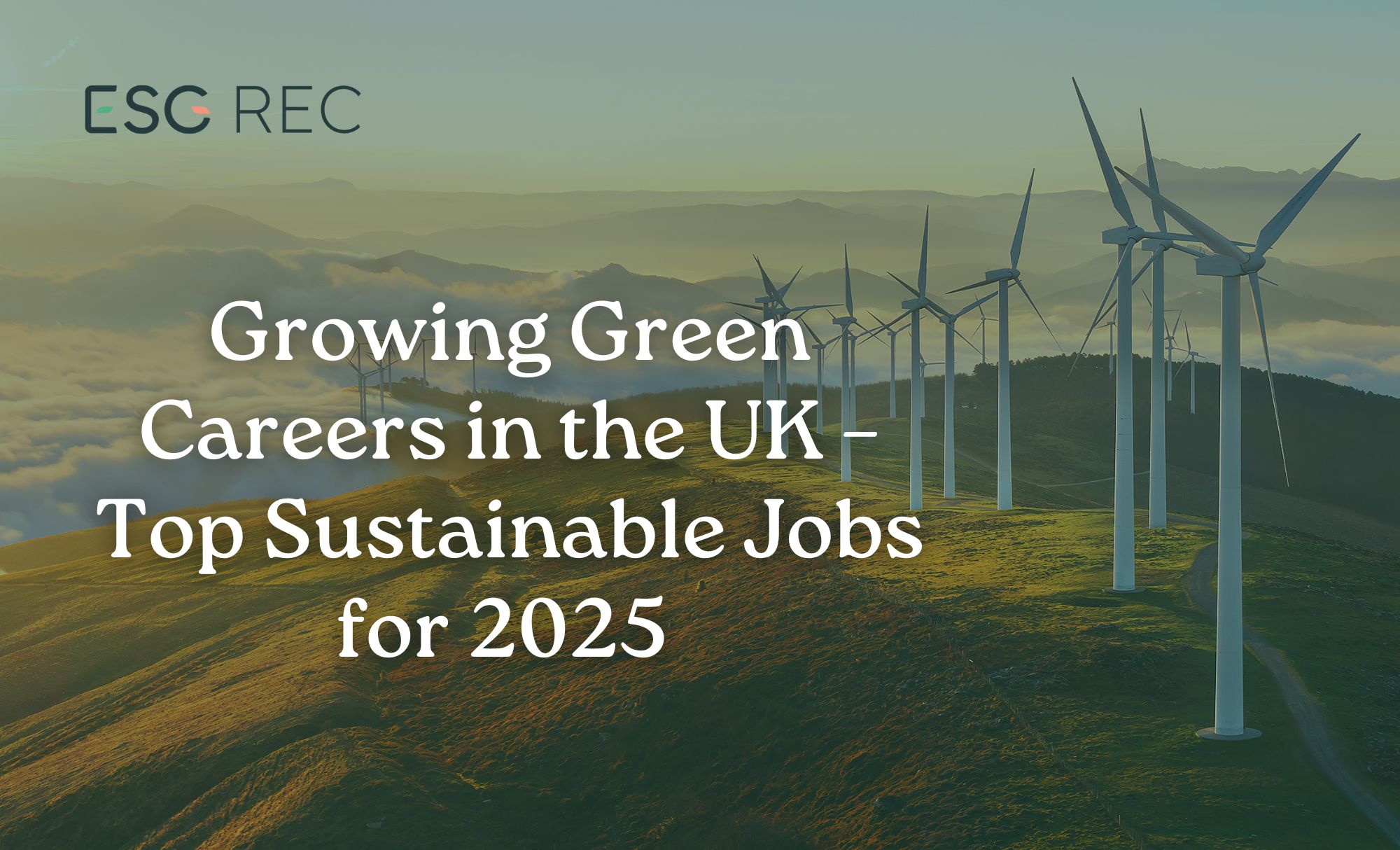 Growing Green Careers in the UK – Top Sustainable Jobs for 2025